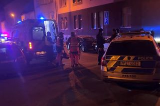 Dvěma noži ubodal bratra a těžce zranil otce. K soudu půjde muž z Plzně jen za opilství - Novinky